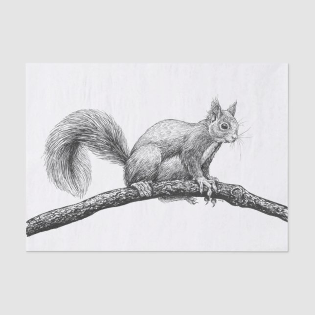 Squirrel drawing tissue paper (Front)