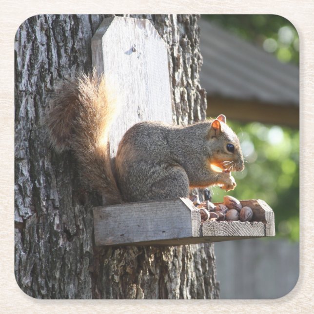Squirrel Drink Coaster (Front)