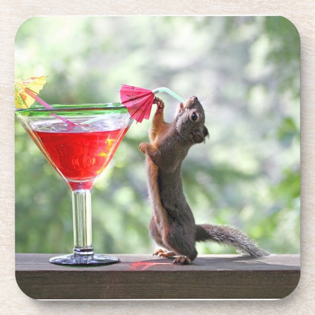 Squirrel Drinking a Cocktail at Happy Hour Beverage Coaster (Front)