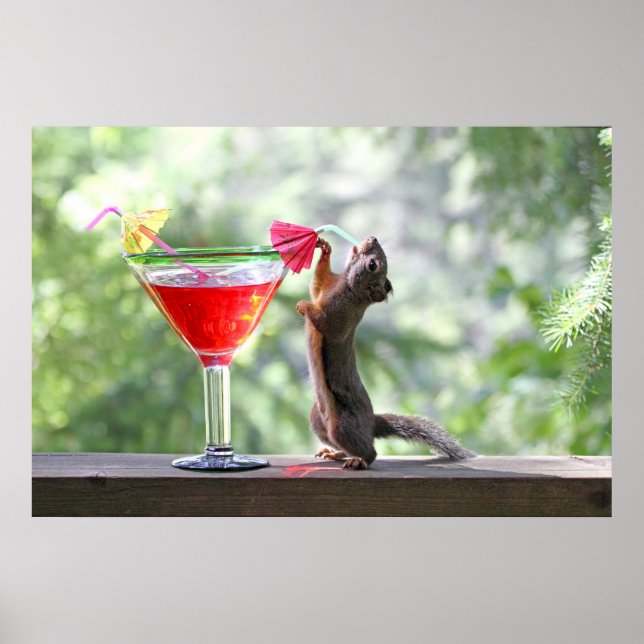 Squirrel Drinking a Cocktail at Happy Hour Poster (Front)