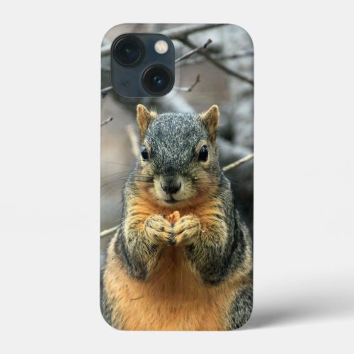 Squirrel Eating a Nut iPhone 13 Mini Case