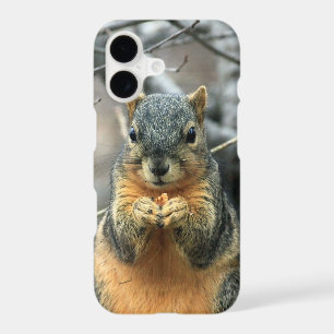 Squirrel Eating a Nut iPhone 17 Case