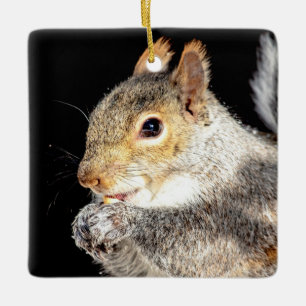 Squirrel eating a nut ceramic ornament