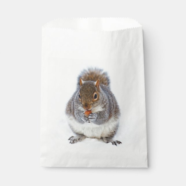 Squirrel Eating a Nut Cute Favor Bag (Front)