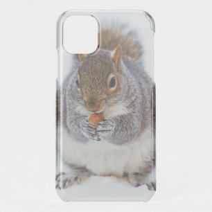 Squirrel Eating a Nut Cute Photo iPhone 11 Case