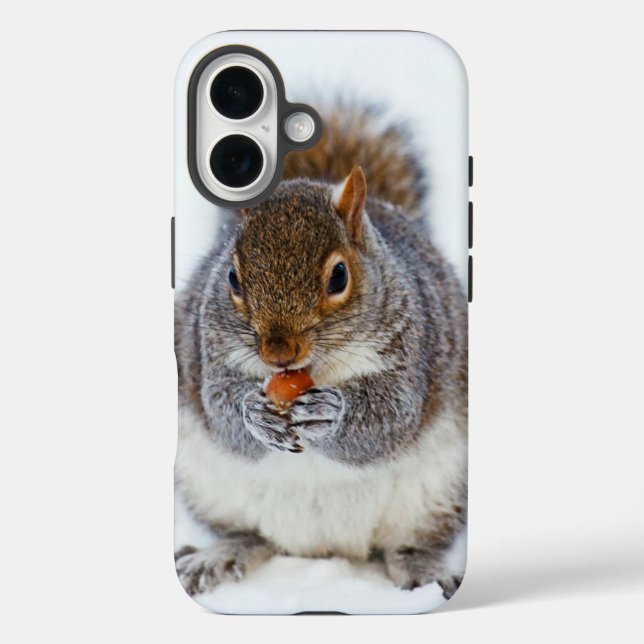 Squirrel Eating a Nut Cute Winter Photo Case-Mate iPhone Case (Back)