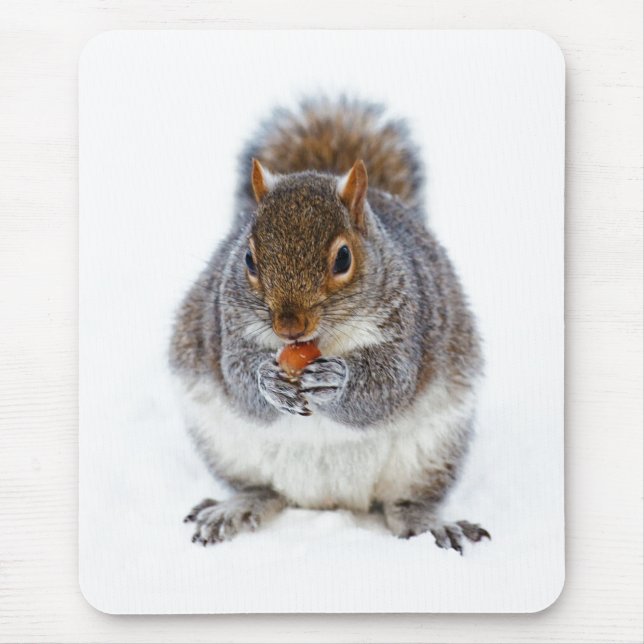 Squirrel Eating a Nut Cute Winter Photo Mouse Pad (Front)