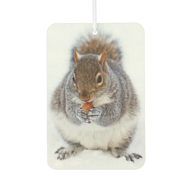 Squirrel Eating a Nut in Winter Snow Air Freshener (Front)