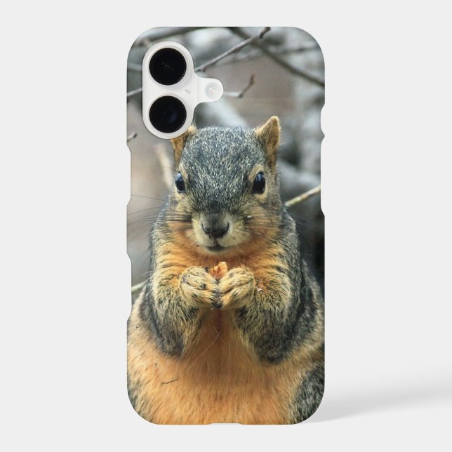 Squirrel Eating a Nut Iphone Case (Back)