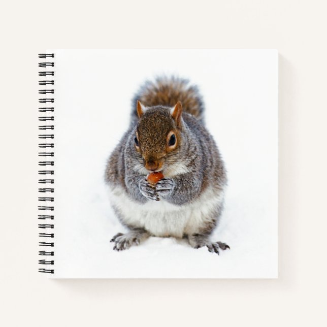 Squirrel Eating a Nut Notebook (Front)
