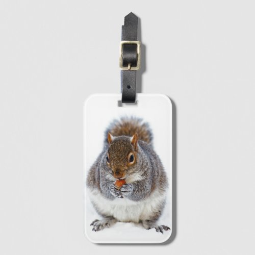 Squirrel Eating a Nut Photo Luggage Tag