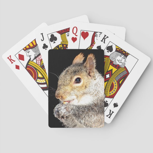 Squirrel eating a nut poker cards (Back)