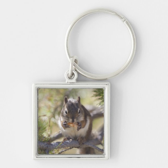 Squirrel eating a pine cone keychain (Front)