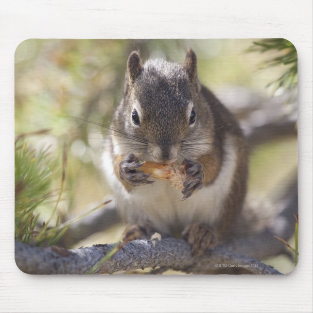 Squirrel eating a pine cone mouse pad (Front)