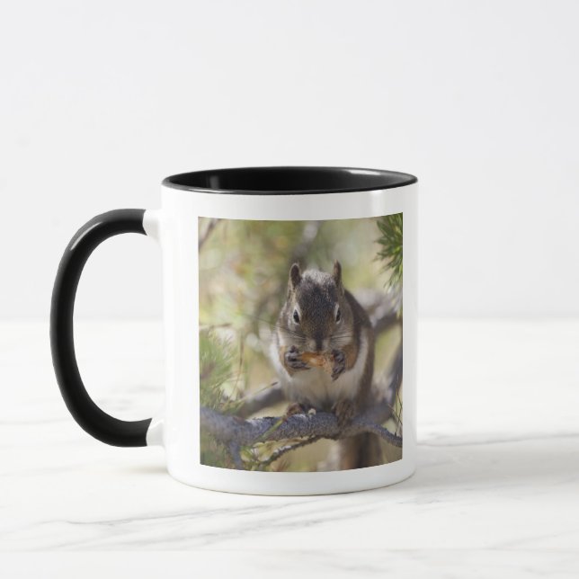 Squirrel eating a pine cone mug (Left)