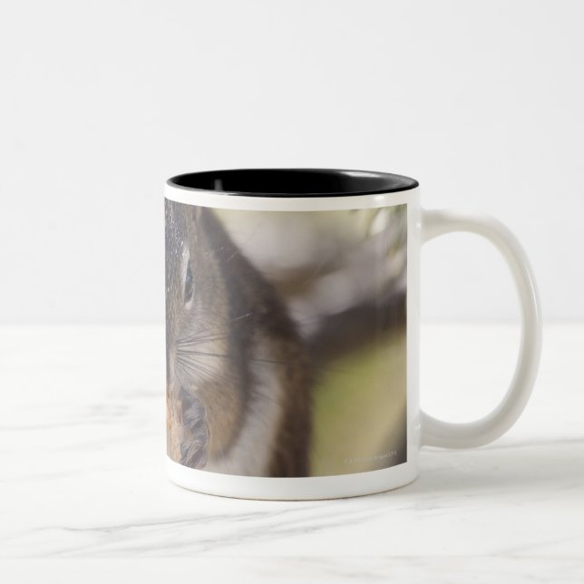 Squirrel eating a pine cone Two-Tone coffee mug (Right)
