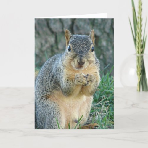 Squirrel Eating Acorns Card