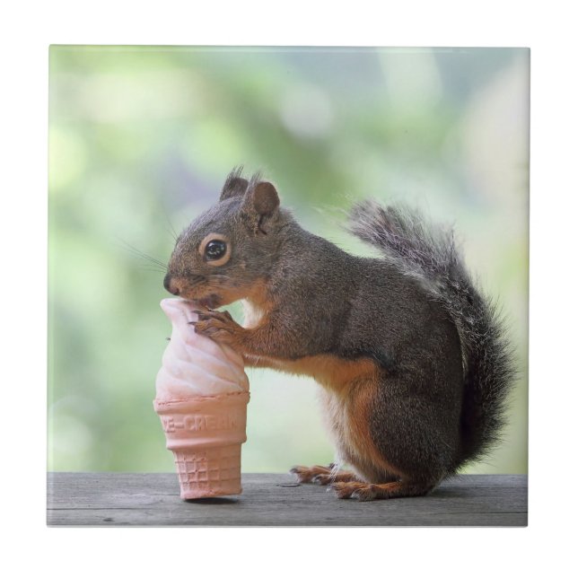 Squirrel Eating an Ice Cream Cone Ceramic Tile (Front)