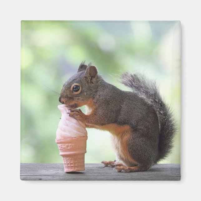 Squirrel Eating an Ice Cream Cone Magnet (Front)