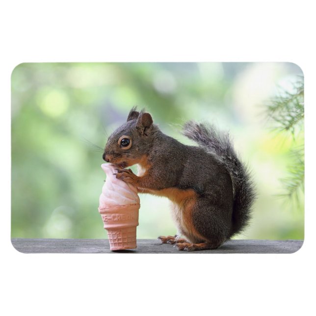 Squirrel Eating an Ice Cream Cone Magnet (Horizontal)