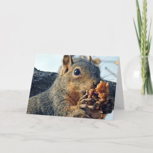 Squirrel Eating Apples Card