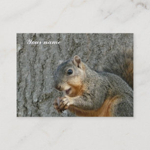 squirrel eating business card
