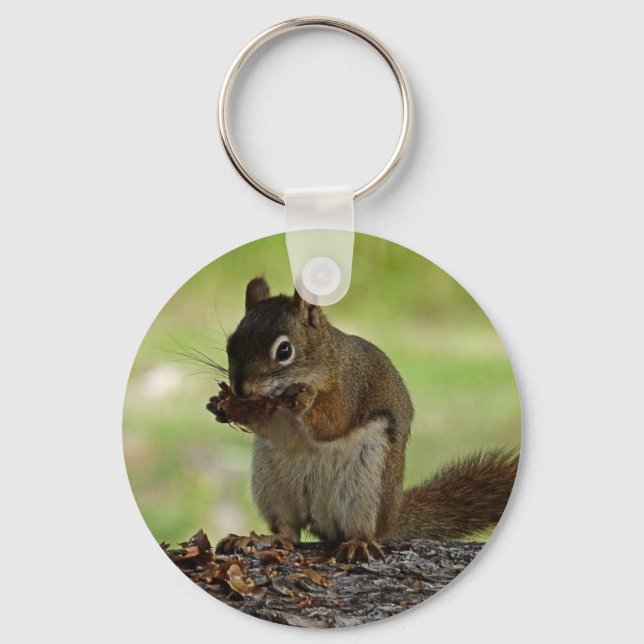 Squirrel eating Cone Keychain (Front)
