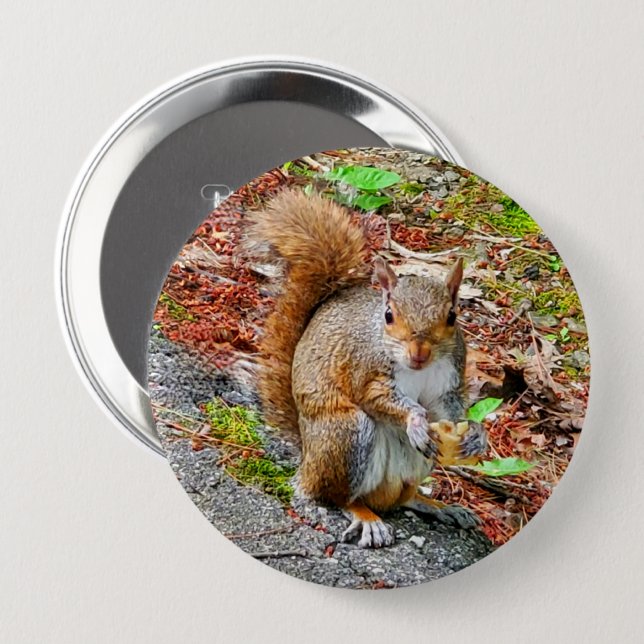 Squirrel Eating Food Button (Front & Back)