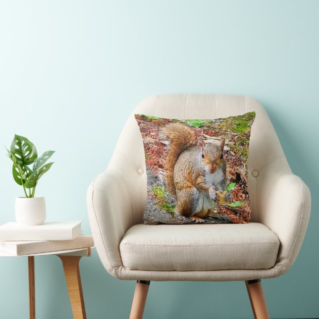 Squirrel Eating Food Throw Pillow (Chair)