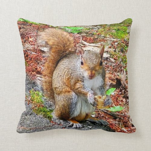 Squirrel Eating Food
