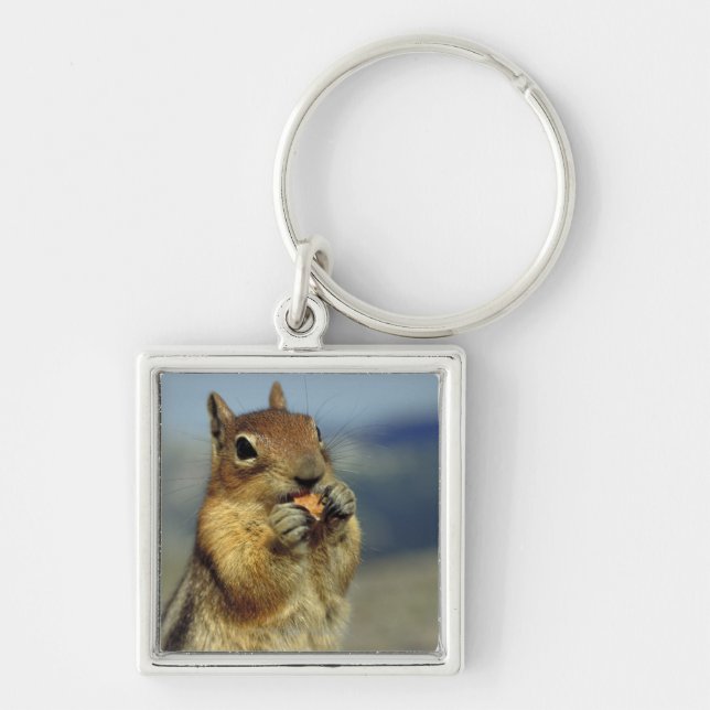 Squirrel eating keychain (Front)