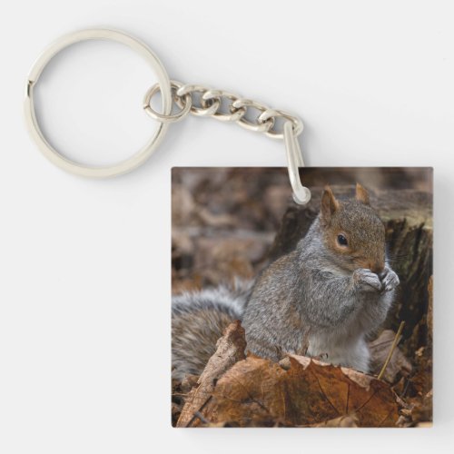 Squirrel eating  keychain