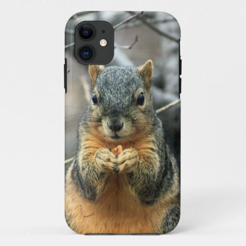 Squirrel Eating Nut iPhone 11 Case