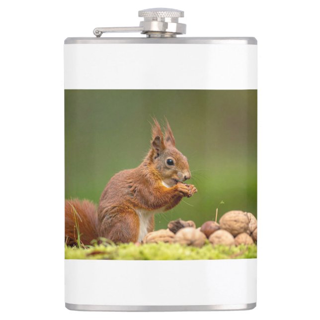 squirrel eating nut flask (Front)