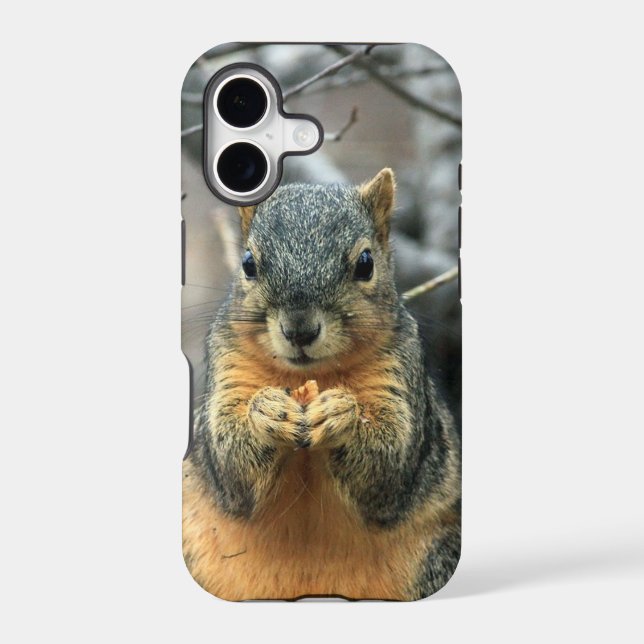 Squirrel Eating Nut Iphone Case (Back)