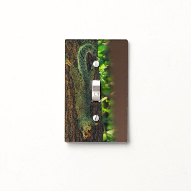 Squirrel Eating Nut On Tree Nature Light Switch Cover (In Situ)