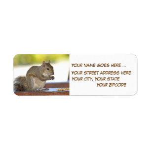 Squirrel eating peanuts Return Address Labels