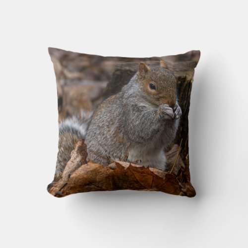 Squirrel eating throw pillow