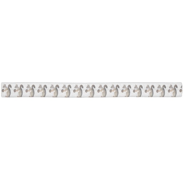 Squirrel Elastic Hair Tie (Unwrapped)