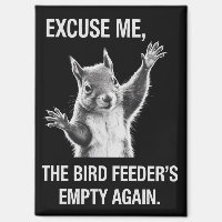 Squirrel Excuse Me, Bird Feeder's Empty Again 