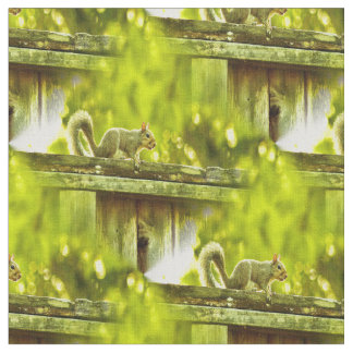 Squirrel Fabric