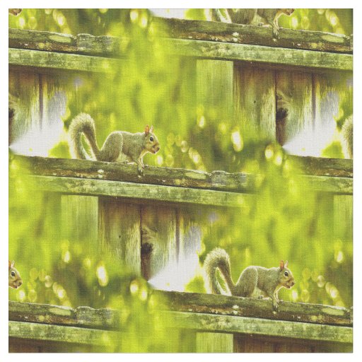 Squirrel Fabric