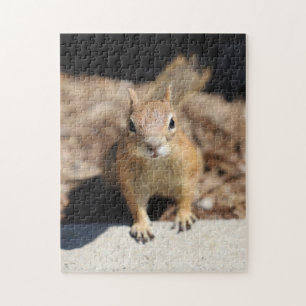 Squirrel Face Jigsaw Puzzle