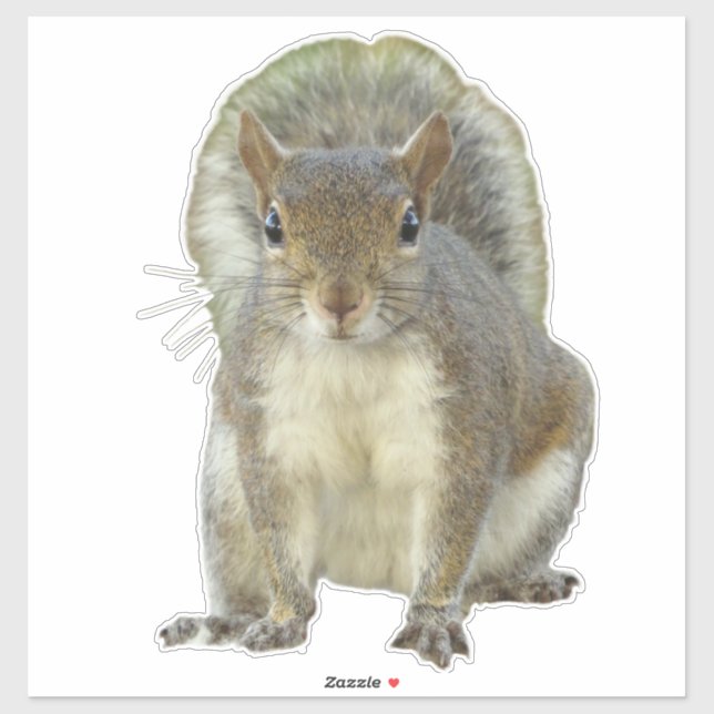 Squirrel face to face sticker (Sheet)