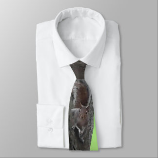 Squirrel Fanatic Neck Tie