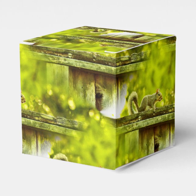Squirrel Favor Boxes (Front Side)