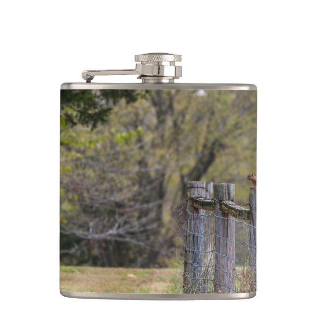 Squirrel Fence Pose Flask (Front)