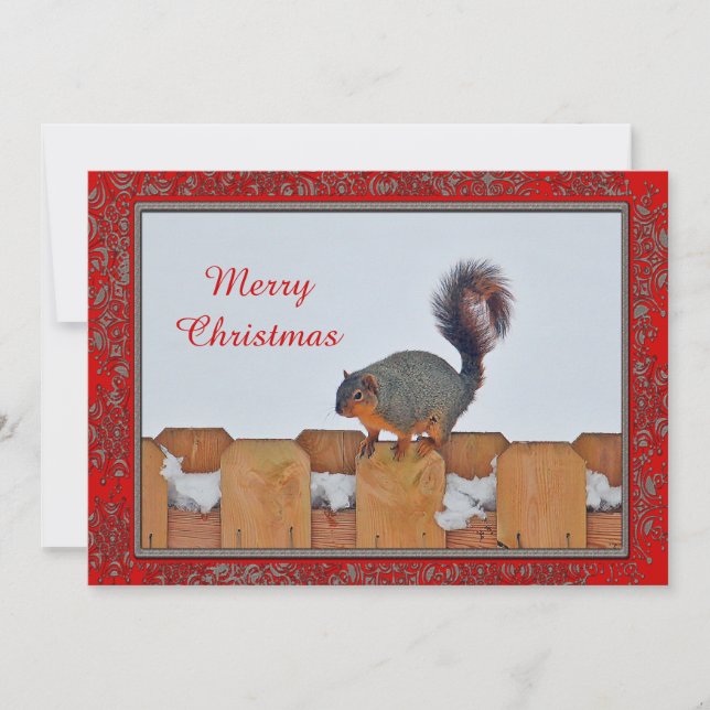 Squirrel Fence Snow Photo Christmas Flat Holiday Card (Front)