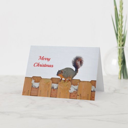 Squirrel Fence Snow Photo Christmas Holiday Card