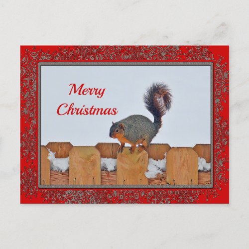 Squirrel Fence Snow Photo Christmas Postcard